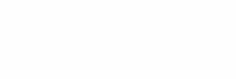 Dharmik Holding